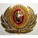Badge The officer of armed forces of the Russian Federation