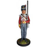 Tin soldier The Napoleonic wars Private battalion companies of the...
